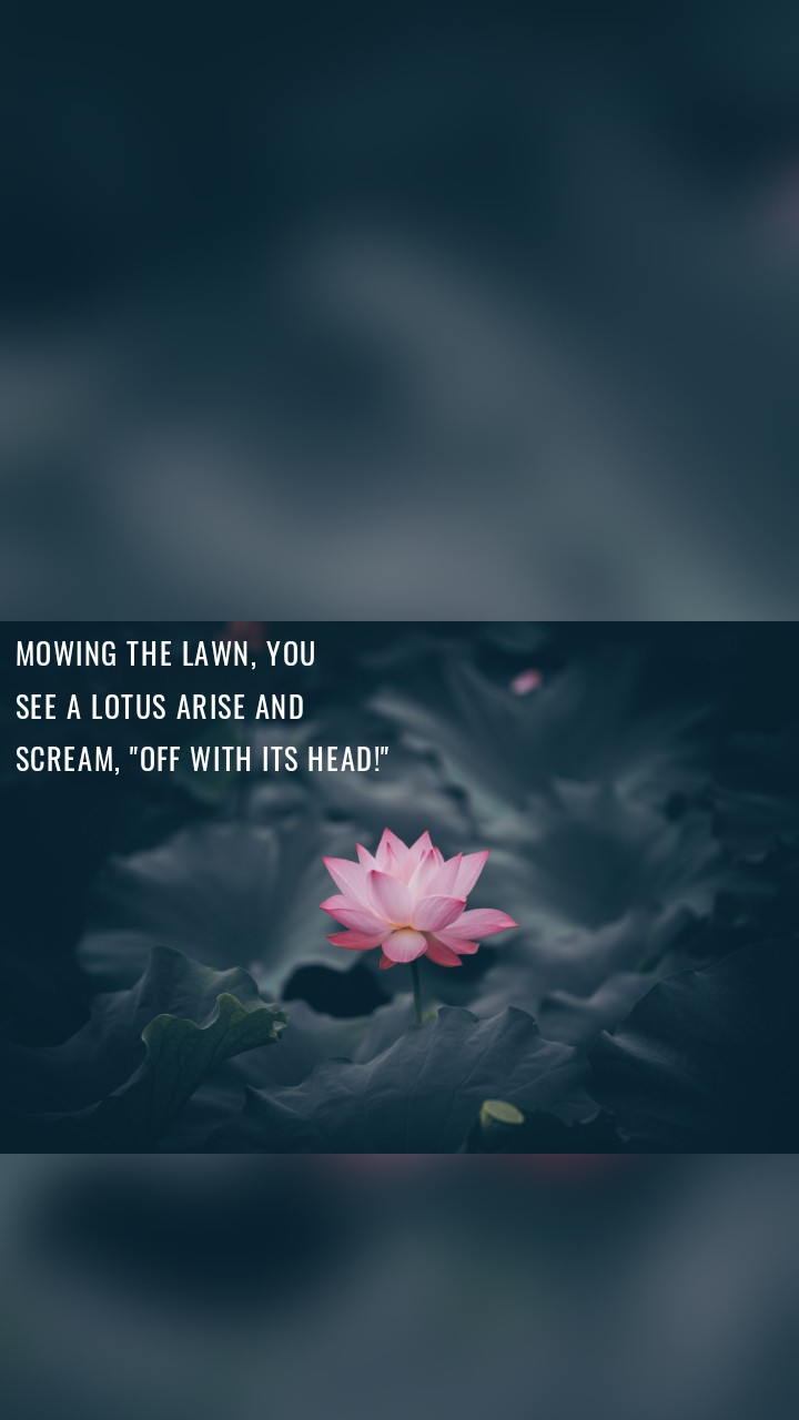 mowing the lawn, you
see a lotus arise and
scream, "Off with its head!"
